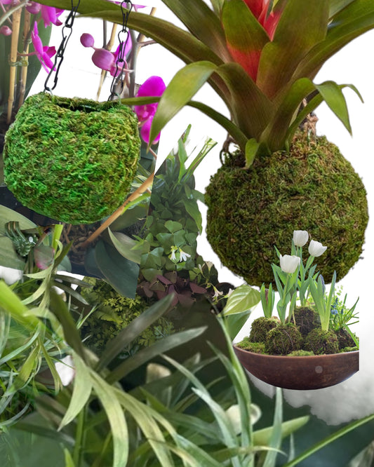 Workshop Floral and Plant Kokedama Moss Balls - MARCH 20